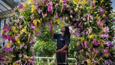 Kew's Royal Botanic Gardens in London are home to the world's largest living plant collection